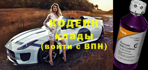 эйфоретик Арсеньев